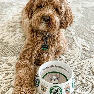 犬の食器