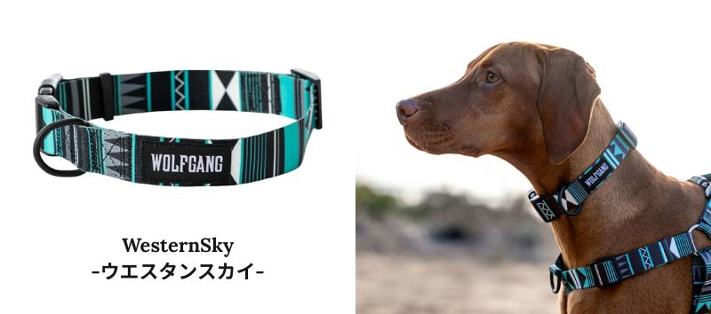 ウルフギャング　人気ランキング　ウエスタンスカイ