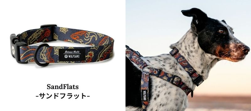 ウルフギャング　人気ランキング　サンドフラット