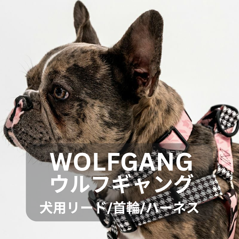 ペットリード、ハーネス、首輪｜ウルフギャング≪公式取扱い販売