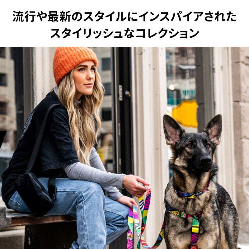 スタイリッシュなコレクション