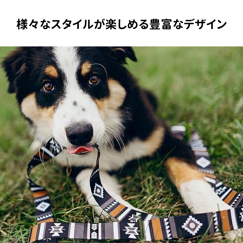 様々なデザインが楽しめる豊富なデザイン