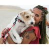 ウルフギャング マン＆ビースト リード Sサイズ 小型犬用 Antigua WL-001-11 【メール便対応商品 3点まで】 国内正規品