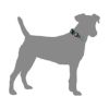 ウルフギャング マン＆ビースト 首輪 Sサイズ 小型犬用 LostArt WC-001-06 【メール便対応商品 3点まで】 国内正規品