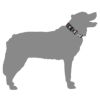 ウルフギャング マン＆ビースト 首輪 Lサイズ 大型犬用 LostArt WC-003-06 【メール便対応商品 3点まで】 国内正規品