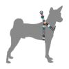 ウルフギャング マン＆ビースト ハーネス 胴輪 Mサイズ 中型犬 LostArt WH-002-06 【メール便対応商品 3点まで】 国内正規品