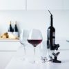 エバソロ evasolo ワイングラス 赤ワイン用 ブルゴーニュ 541002 【正規品】