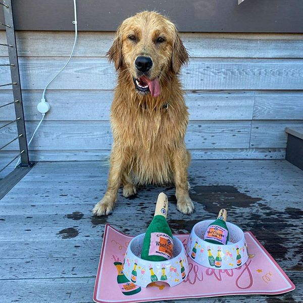 【NEW】オートディギティドッグ Haute Diggity Dog 犬 フードボウル　 【Rose' All Day Bowl】 HDD202 餌用食器　フードボウル 餌入れ