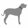 ウルフギャング マン＆ビースト 首輪 Mサイズ 中型犬用 Quetzal WC-002-07 【メール便対応商品 3点まで】