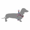 ウルフギャング マン＆ビースト ハーネス 胴輪 Sサイズ 小型犬用 Quetzal WH-001-07 【メール便対応商品 3点まで】