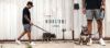 ウルフギャング マン＆ビースト ハーネス Lサイズ 大型犬用 NightOwl WH-003-30 【メール便対応商品 3点まで】 国内正規品