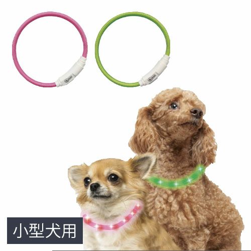 セーフティカラー【小型犬用】 SAFETY COLLAR ペット 犬 猫 夜の散歩 首輪 【メール便対応商品 2点まで】 国内正規品