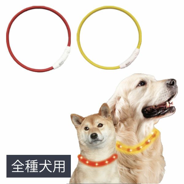 セーフティカラー【全種犬用】 SAFETY COLLAR ペット 犬 猫 夜の散歩 首輪 【メール便対応商品 1点まで】 国内正規品 | 物語のある雑貨店  NUTS