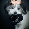 オートディギティドッグ Haute Diggity Dog 犬 おもちゃ 【Pawda Bag バッグ】 HDD012-LG 音が鳴る 犬用ぬいぐるみ 国内正規品