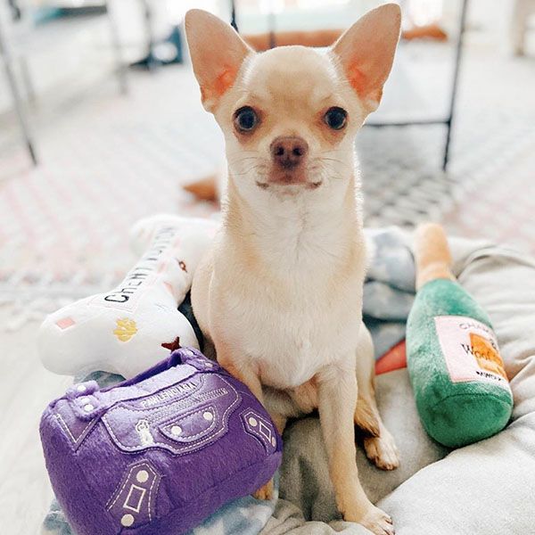 オートディギティドッグ Haute Diggity Dog 犬 おもちゃ 【Pawlenciaga Bag バッグ】 HDD023 音が鳴る 犬用ぬいぐるみ 国内正規品