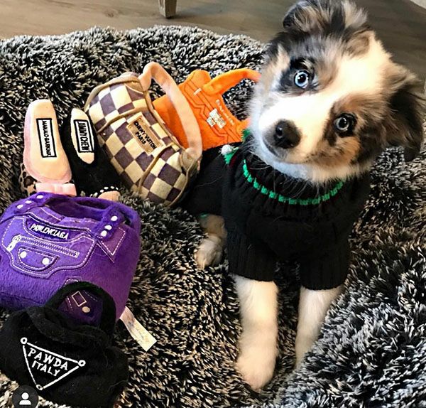 オートディギティドッグ Haute Diggity Dog 犬 おもちゃ 【Pawlenciaga Bag バッグ】 HDD023 音が鳴る 犬用ぬいぐるみ 国内正規品