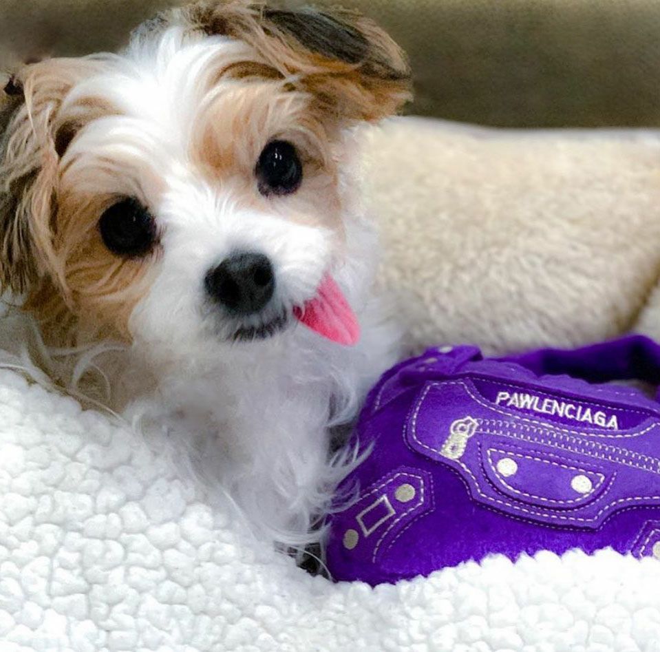 オートディギティドッグ Haute Diggity Dog 犬 おもちゃ 【Pawlenciaga Bag バッグ】 HDD023 音が鳴る 犬用ぬいぐるみ 国内正規品
