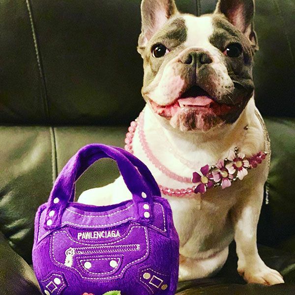 オートディギティドッグ Haute Diggity Dog 犬 おもちゃ 【Pawlenciaga Bag バッグ】 HDD023 音が鳴る 犬用ぬいぐるみ 国内正規品