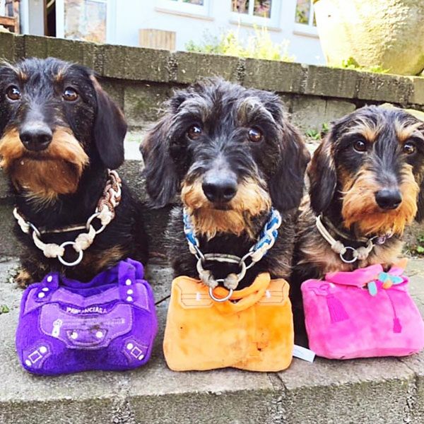 オートディギティドッグ Haute Diggity Dog 犬 おもちゃ 【Pawlenciaga Bag バッグ】 HDD023 音が鳴る 犬用ぬいぐるみ 国内正規品