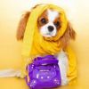 オートディギティドッグ Haute Diggity Dog 犬 おもちゃ 【Pawlenciaga Bag バッグ】 HDD023 音が鳴る 犬用ぬいぐるみ 国内正規品