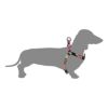 【2022年 カレンダープレゼント】ウルフギャング マン＆ビースト ハーネスリードセット（胴輪） Sサイズ 小型犬用 DarkFloral WH-001-WL-001-00 【メール便対応商品1セットまで】 国内正規品