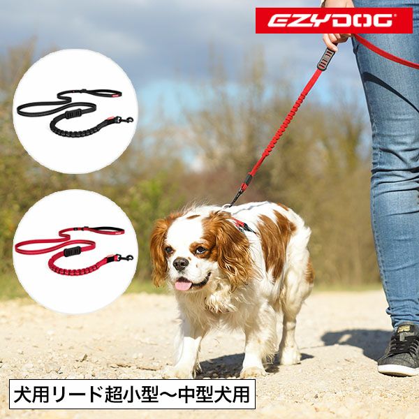 品質満点! オーストラリア ラブラドールレトリーバー 首輪 犬用(ドッグ)アウトドア XLサイズ」 「ダブルロックカラー ゴールデンレトリーバー