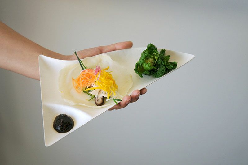 WASARA ワサラ wasara皿・6枚セット 紙皿 紙の器 国内正規品