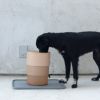 zee.dog ZEE.BOWL 高さ調整 フードボウル 犬用食器 サンド ベージュ ジードッグ 395824 正規品