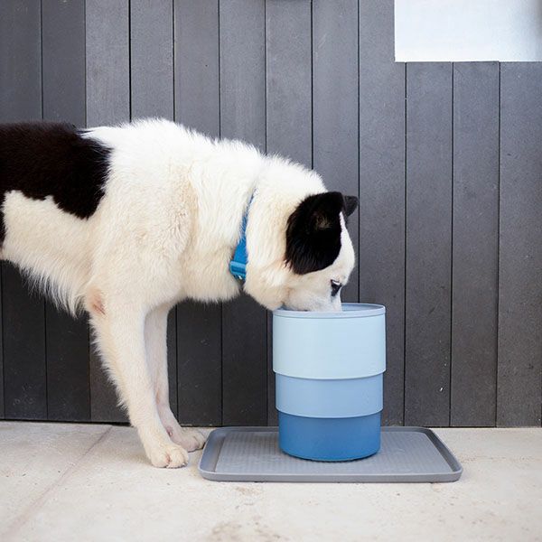 犬用食器　フードボウル　おしゃれ