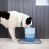 zee.dog ZEE.BOWL 高さ調整 フードボウル 犬用食器 ソフトブルー ライトブルー 水色 青 395825 ジードッグ 正規品
