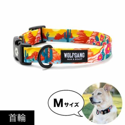 新品未使用】wolfgang首輪Mとリード183cm MIXTAPE 首輪