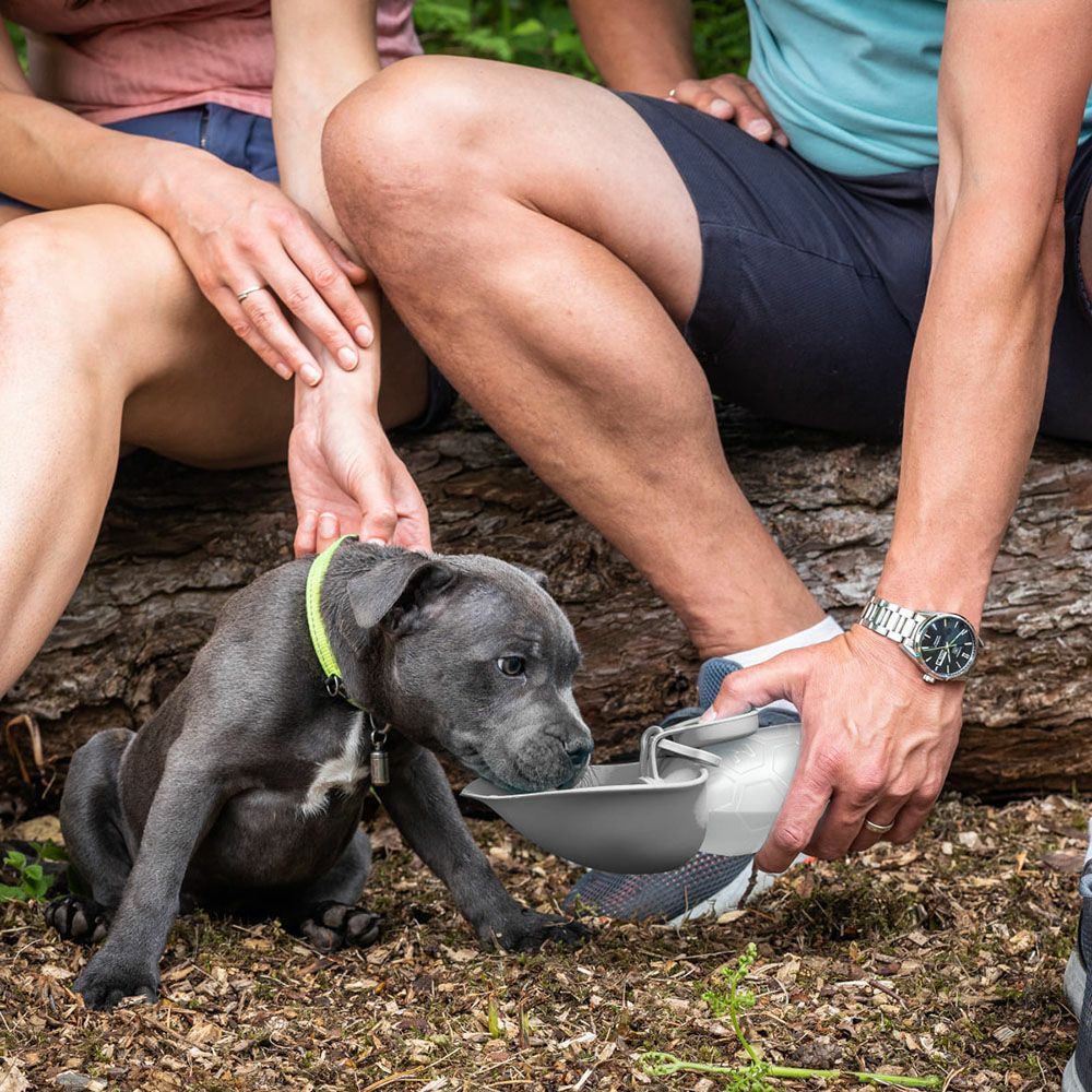 コラプズ ドッグ ウォーターボトル（プープバッグホルダー付） colapz Portable Dog Water Bottle & Poop Bag Holder