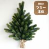 壁掛け式 クリスマスツリー （オーナメント別売） 国内正規品