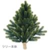 壁掛け式 クリスマスツリー （オーナメント別売） 国内正規品