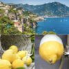 リモンチェッロ アマルフィ 500ml 30度 マウリツィオルッソ アマルフィの海岸産レモン100% レモン皮リキュール