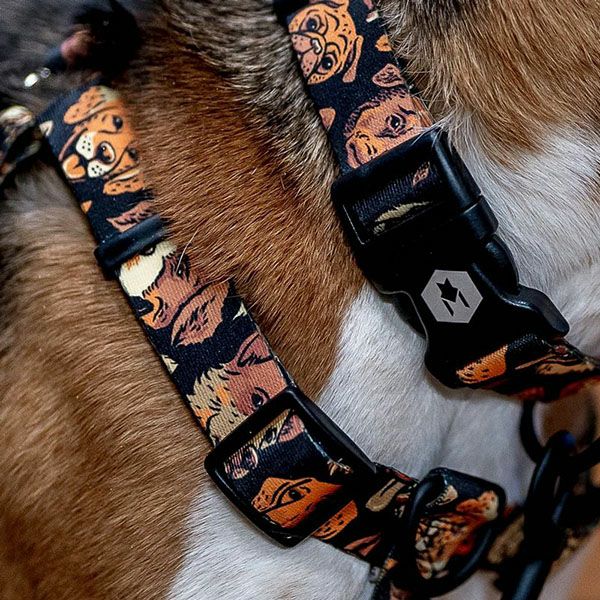 ウルフギャング WOLFGANG ハーネス 犬用品 中型犬 Mサイズ HARNESS マン&ビースト MAN&BEAST