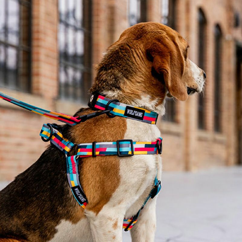 ウルフギャング マン＆ビースト 首輪リードセット LLサイズ 大型犬用