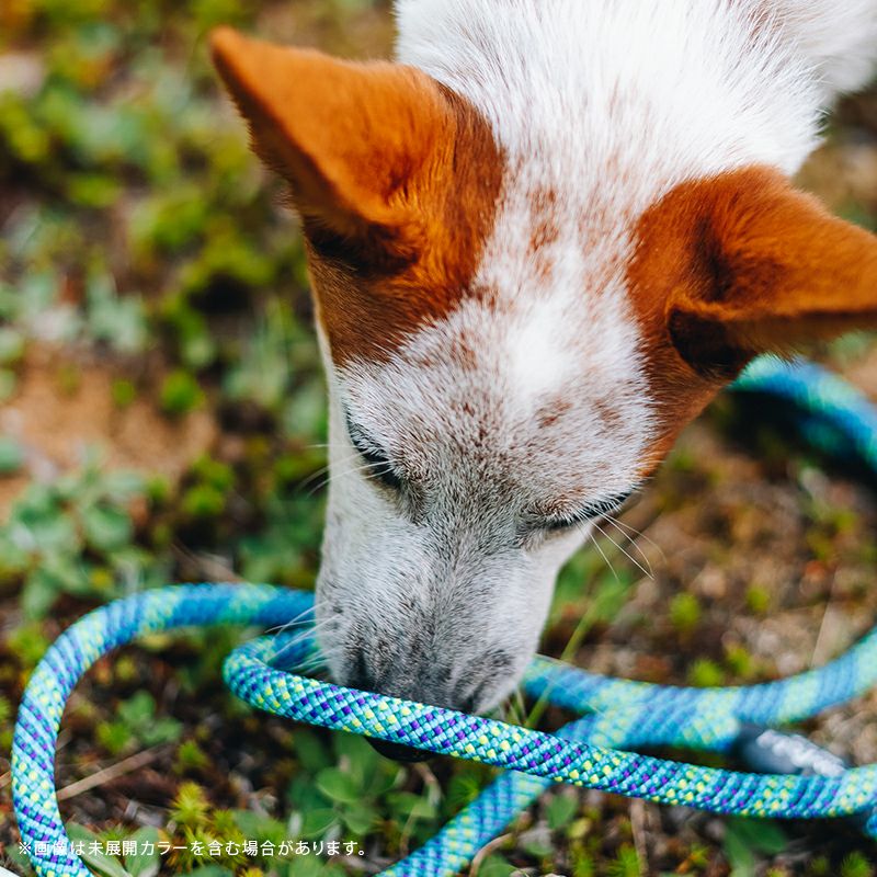 フローフォールド Flowfold 犬用リード 小型犬 中型犬
