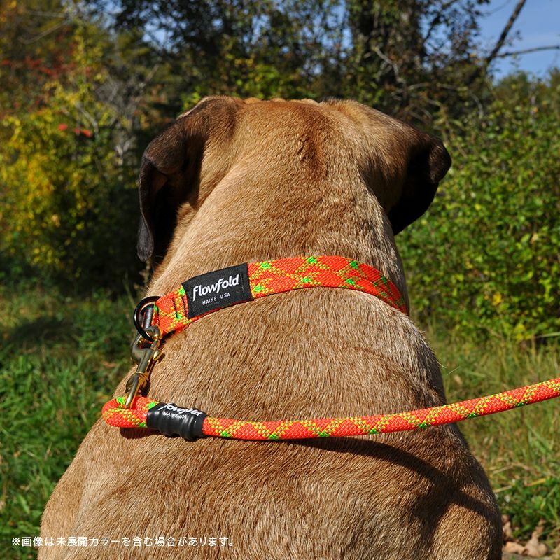 フローフォールド Flowfold 犬用リード 小型犬 中型犬