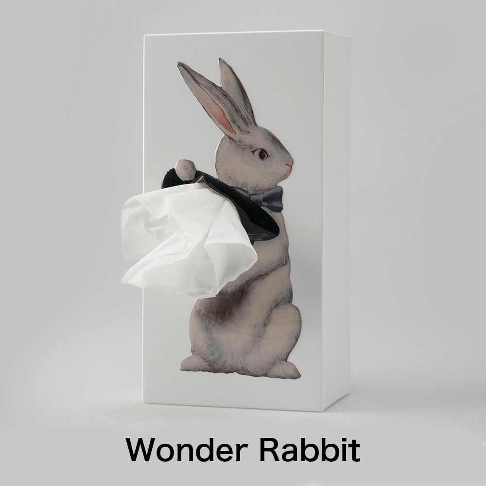 韓国インテリア　ティッシュケース　おしゃれ