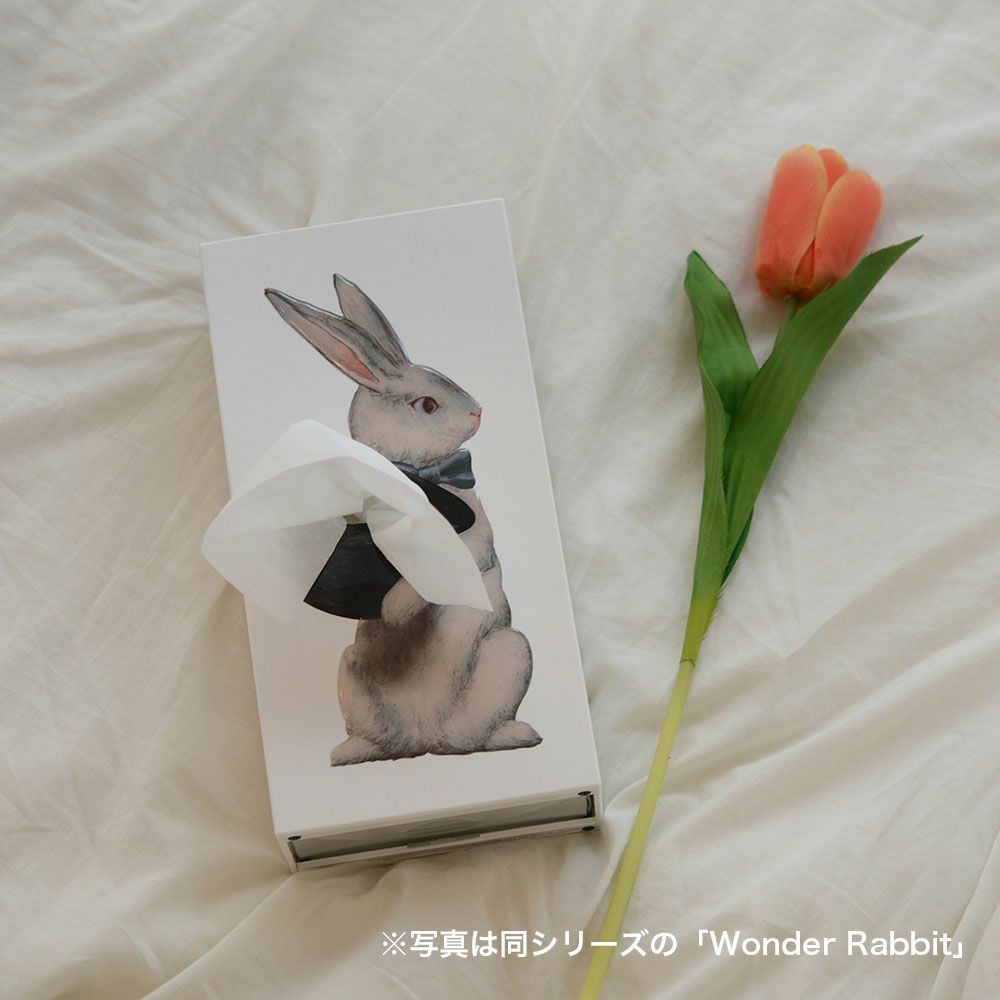 韓国インテリア　ティッシュケース　おしゃれ