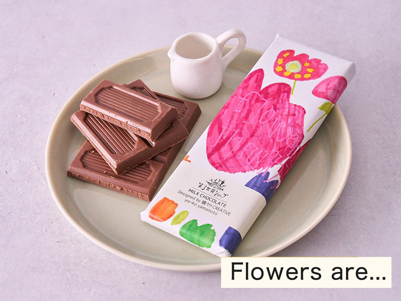 オーガニックチョコレート ギフト かわいい おしゃれ